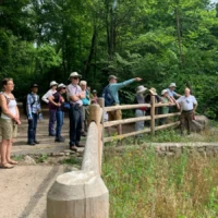 A group of people gathers around a wooden fence on a forest trail, looking toward something in the distance.