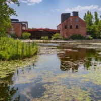 An old red-brick industrial building stands beside a pond covered with algae and reflecting the sky.