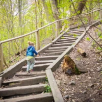 A child climbs a wooden staircase through a sunlit forest.