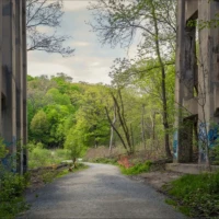 A paved path leads through overgrown greenery between two abandoned concrete buildings covered in graffiti.
