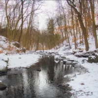 A snow-covered creek winds through a leafless forest in winter.