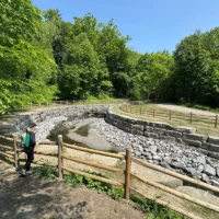 A person stands beside a wooden fence overlooking a stone-lined stream in a wooded park.