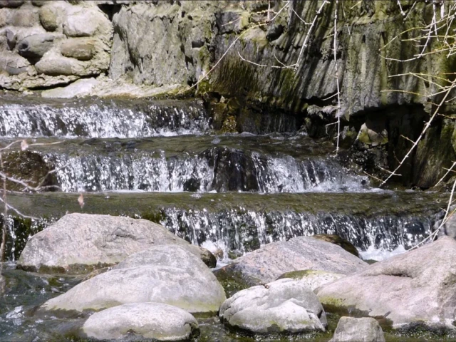 A small waterfall cascades over rock ledges into a shallow stream among large stones and greenery.