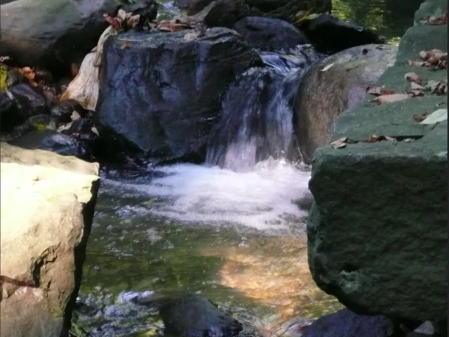 A small waterfall flows through a rocky stream surrounded by moss-covered boulders.