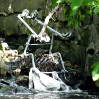 An abandoned shopping cart sits in a rocky stream beneath leafy branches.
