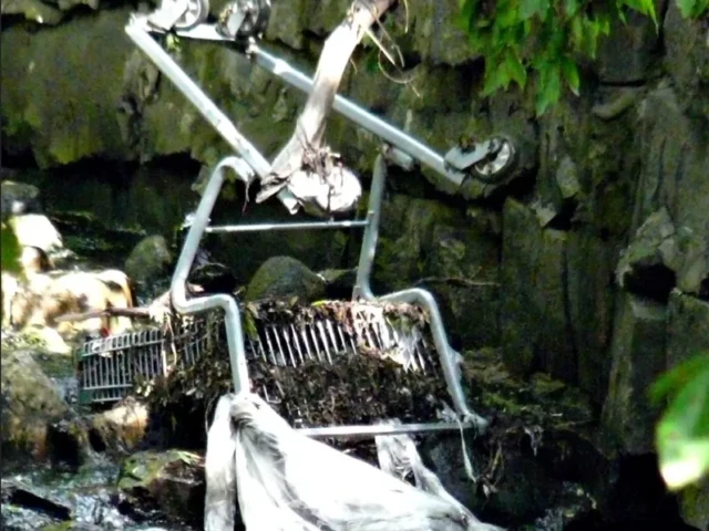 An abandoned shopping sits in a rocky stream beneath leafy branches.