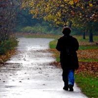 A person walks along a wet park path beneath autumn trees.