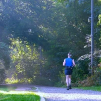 A person wearing a blue shirt and backpack walks along a sunlit path through a wooded park.