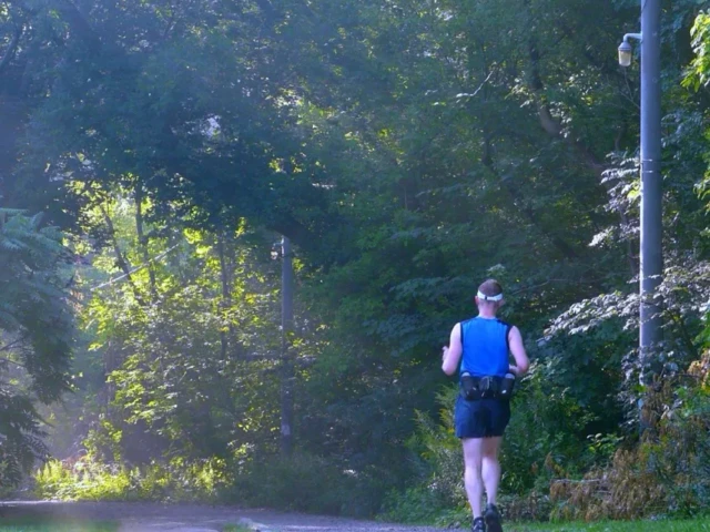A person wearing a blue shirt and backpack walks along a sunlit path through a wooded park.