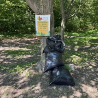 Black trash bags are tied around a tree beneath a posted sign in a wooded park.