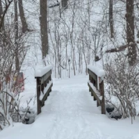 A snow-covered path crosses a small wooden bridge through a leafless winter forest.