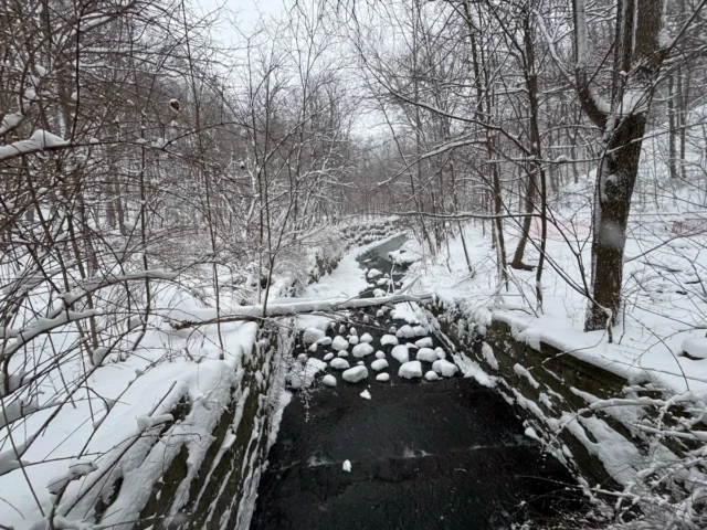 A snow-covered creek flows beneath a small stone bridge through a wooded winter landscape.