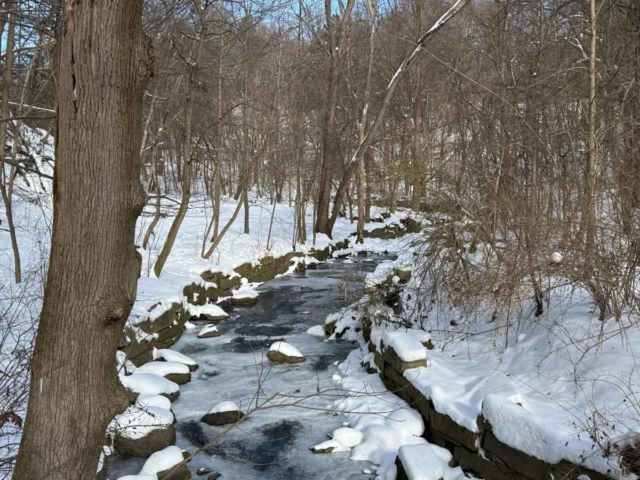 A snow-covered woodland stream flows between rocks and bare trees.