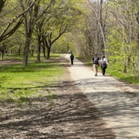 Three people walk along a sunlit path through a leafy park.