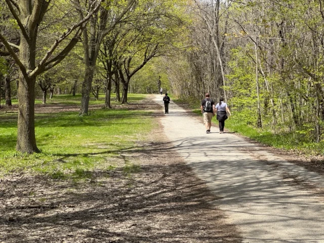 Three people walk along a sunlit path through a leafy park.