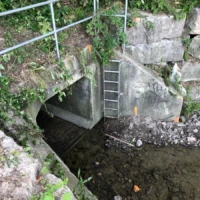 A metal ladder descends into a shallow stream beneath a concrete structure built into a rocky, overgrown hillside.