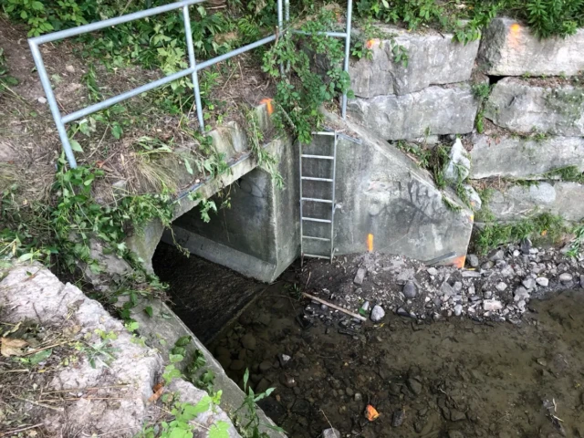 A metal ladder descends into a shallow stream beneath a concrete structure built into a rocky, overgrown hillside.