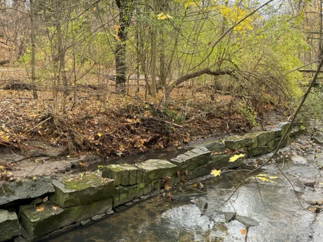 A shallow stream flows past a moss-covered stone wall beneath trees in a wooded area.