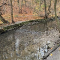 A shallow creek winds through a leaf-covered forest beside a low stone embankment.