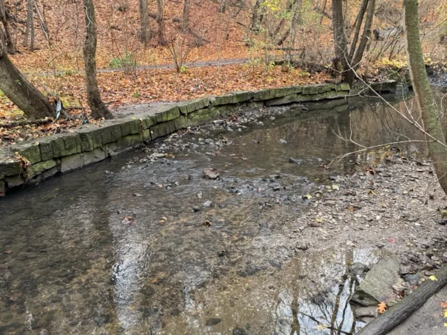 A shallow creek winds through a leaf-covered forest beside a low stone embankment.