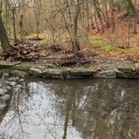 A quiet woodland stream reflects bare trees beside a leaf-covered bank and stone ledge.