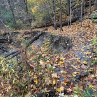 A leaf-covered woodland path winds through trees beside a small rocky stream.