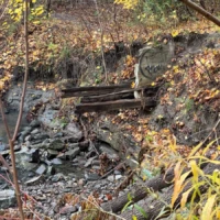 A small wooden footbridge crosses a rocky creek in an autumn forest.