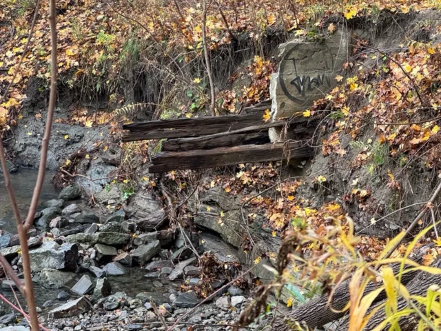 A small wooden footbridge crosses a rocky creek in an autumn forest.