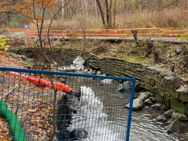 A small stream flows through a stone-lined channel behind a blue fence, with orange construction barriers along the wooded bank.