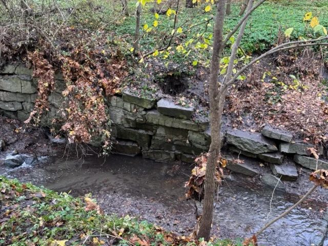 A small stream flows past a stacked stone wall beneath trees covered in autumn leaves.