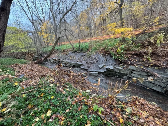 A shallow stream runs through a wooded landscape covered in autumn leaves.