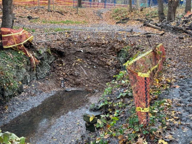 A muddy stream cuts through an eroded forest path marked with orange safety fencing.