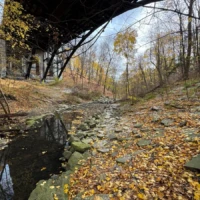 A small rocky stream covered with autumn leaves flows beneath a dark arched bridge in a wooded park.