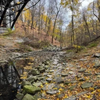 A shallow rocky creek with fallen autumn leaves runs through a wooded ravine beneath a bridge.