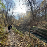 A person walks along a leaf-covered forest trail beside a narrow stream.