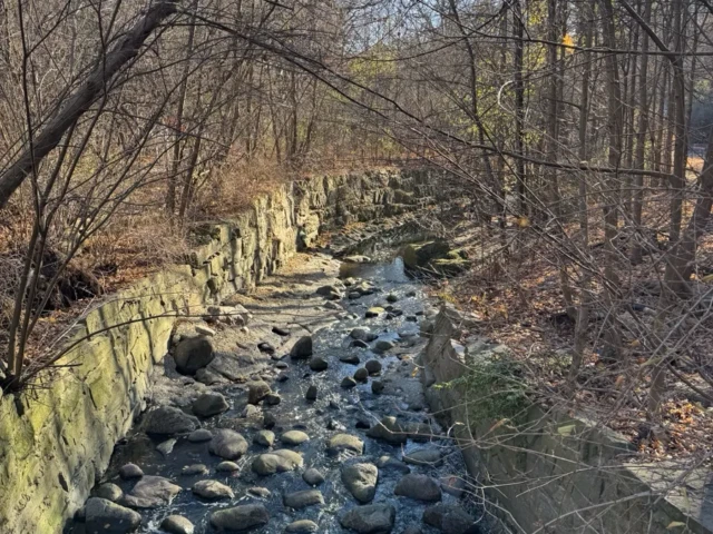 A rocky creek flows through a leafless wooded area between stone retaining walls.