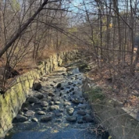 A rocky creek flows through a leafless wooded area between stone retaining walls.
