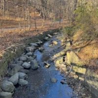 A shallow creek flows between rocks through a leaf-covered woodland in late autumn.