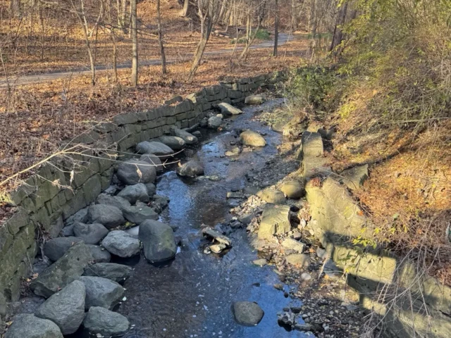 A shallow creek flows between rocks through a leaf-covered woodland in late autumn.