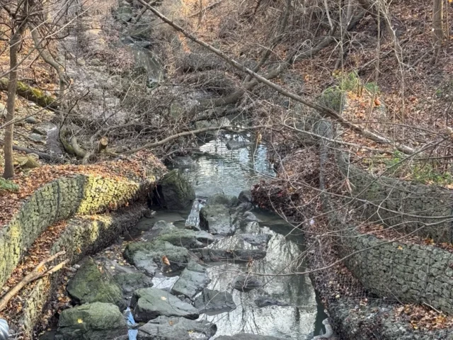 A rocky creek flows through a leafless wooded ravine.