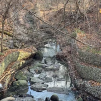 A rocky creek flows through a leafless wooded ravine.