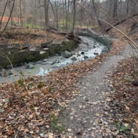 A leaf-covered path follows a rocky creek through a quiet, leafless woodland.