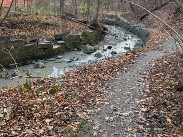 A leaf-covered path follows a rocky creek through a quiet, leafless woodland.