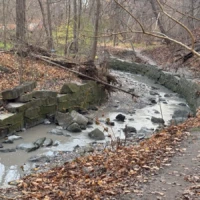 A small stream winds through a wooded area beside a stone retaining wall and leaf-covered path.