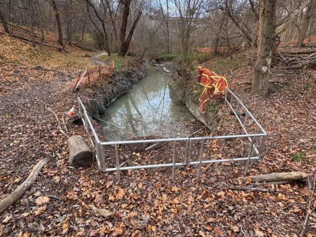 A small stream runs through a leaf-covered woodland, with a metal fence crossing it and an orange construction barrier nearby.
