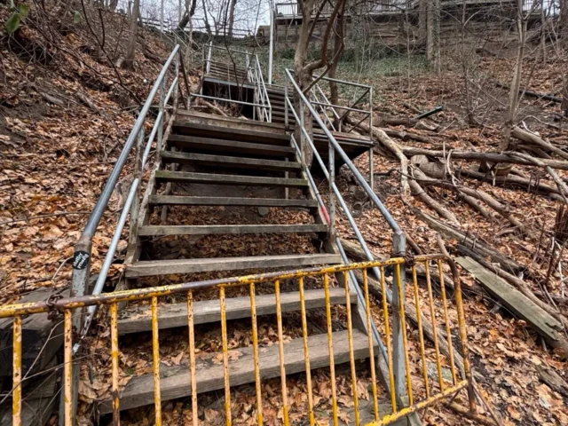 A weathered staircase with metal railings climbs a leaf-covered hillside toward a wooden building among bare trees.