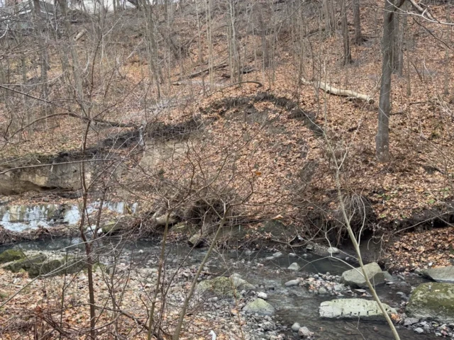 A rocky creek flows through a leaf-covered woodland in late autumn.