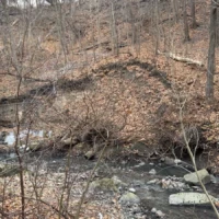 A rocky creek flows through a leaf-covered woodland in late autumn.