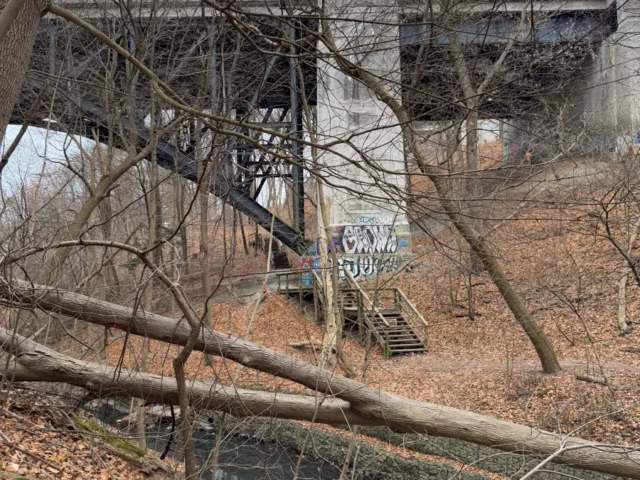 A concrete bridge crosses a narrow creek in a leaf-covered wooded area.