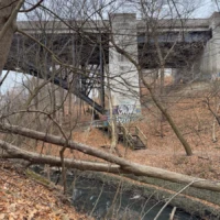 A concrete bridge crosses a narrow creek in a leaf-covered wooded area.